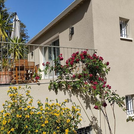Charmante Maison Avec Jardin Aux Portes Des Gorges De L'Ardeche Saint-Julien-de-Peyrolas Extérieur photo