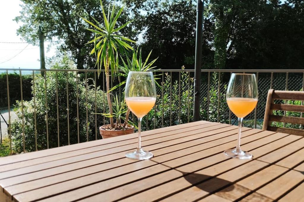 Charmante Maison Avec Jardin Aux Portes Des Gorges De L'Ardeche Saint-Julien-de-Peyrolas Extérieur photo